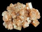 Natural Aragonite Clusters Wholesale Lot - Pieces #61654-1